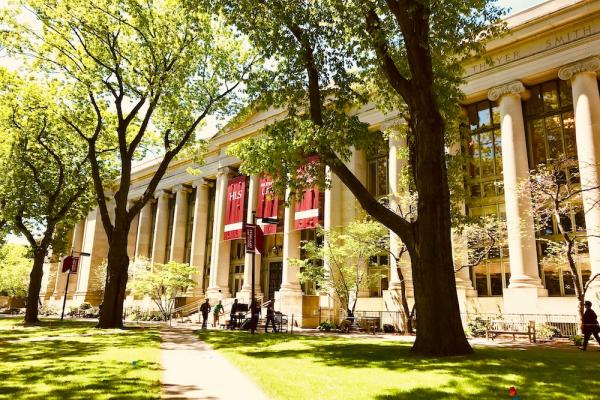 Harvard University