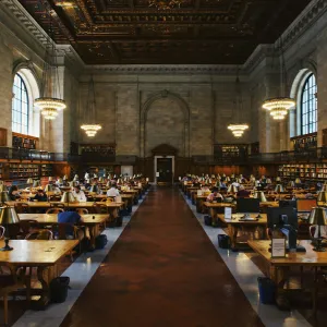 Students Studying in Library Hall